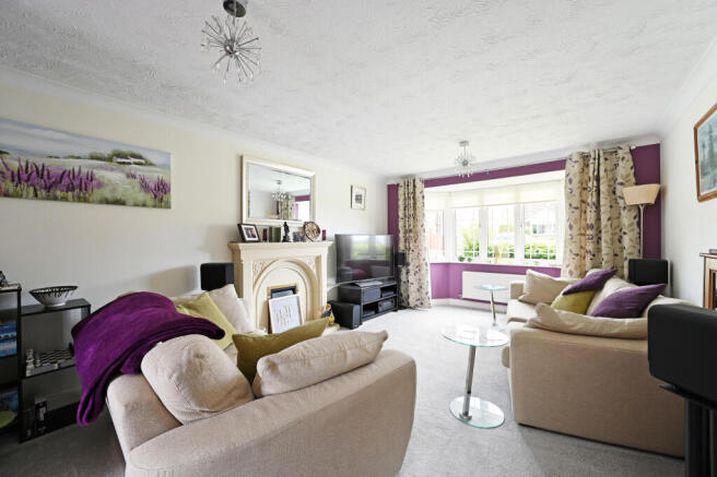 DSC 1313 T202406180935.jpg