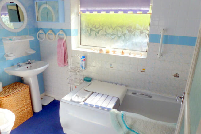 Photo 11
