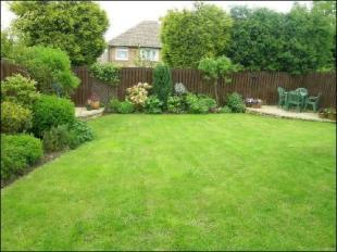 Garden area