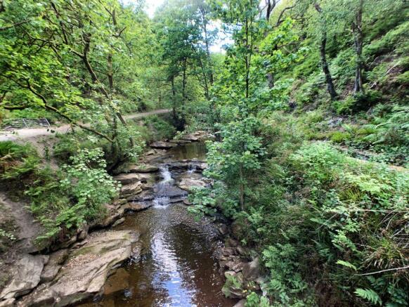 Stream