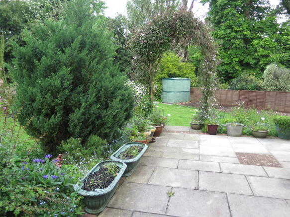 Photo 11