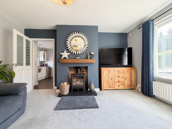Wood Burning Stove