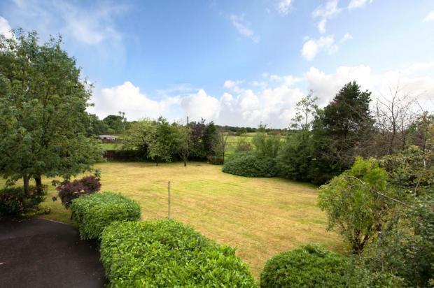 Garden/Views
