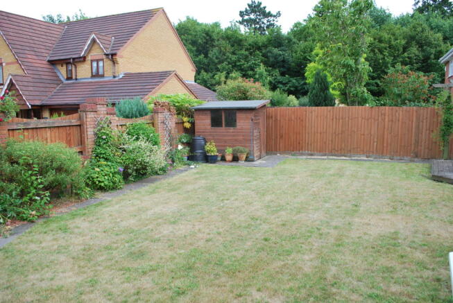 Photo 5