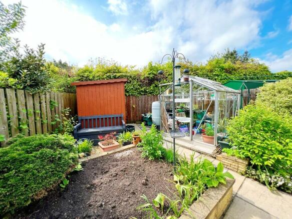 Garden pic 8.jpg