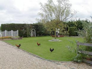Rear garden