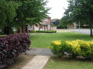 View to front