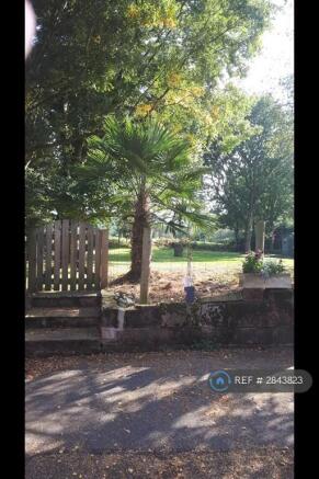 Shared Paddock & Whitegate Way