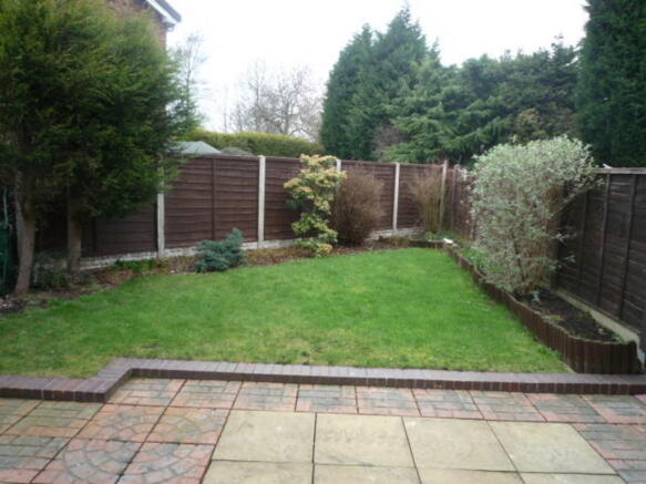 Photo 5