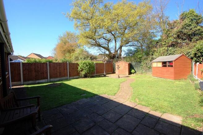 Photo 15