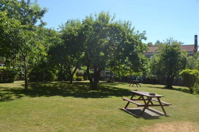 Communal Garden