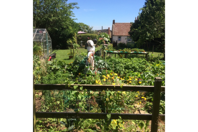 Mature Garden