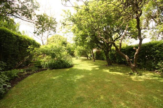 Garden Image 3