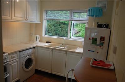 Kitchen Shot 2
