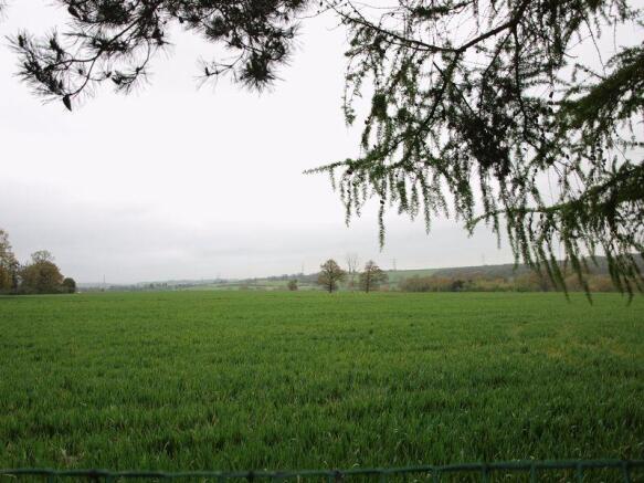 View From Lower...