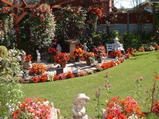 Rear garden 2