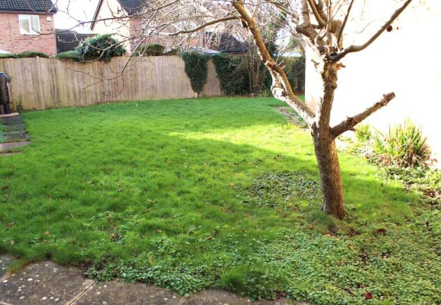 Photo 15