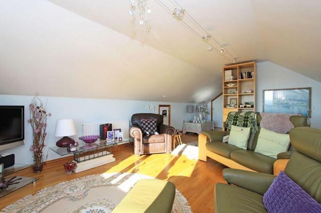 Living Area/Bedroom Area