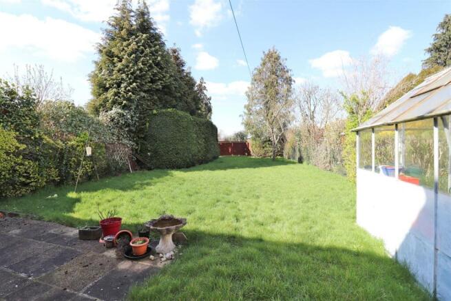 rear garden n.JPG