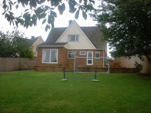 Rear Elevation