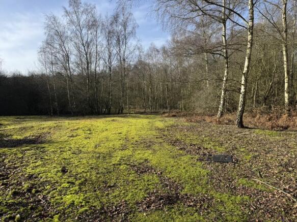 20260217 104650319 IOS  Medium  T202602180907.jpg