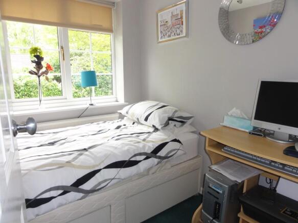 Photo 10