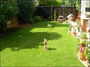 REAR GARDEN VIEW 2