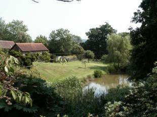 Garden and lake