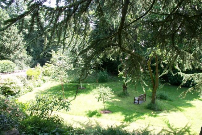 Wildflower Garden
