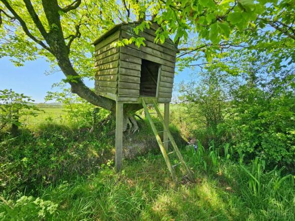 Tree House