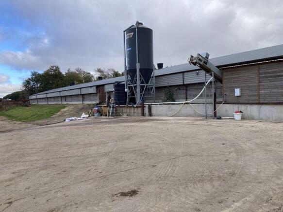 Highlander Farm Chicken Shed