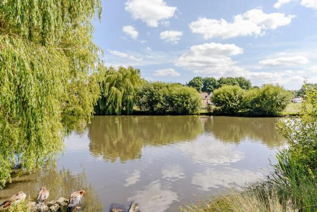 pond