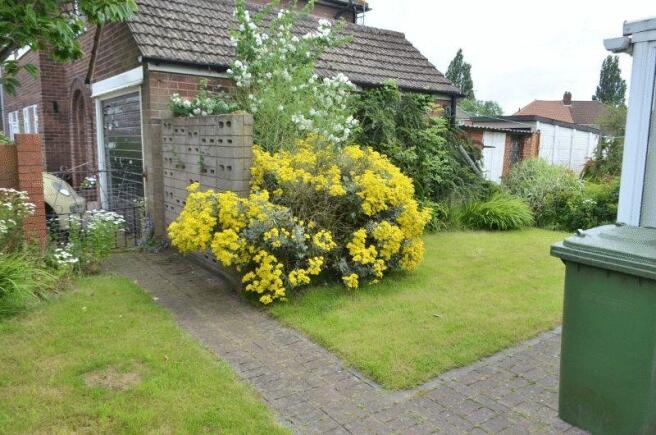 Photo 10