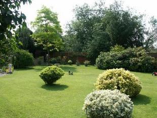 Photo 5