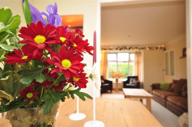 Internal Lifestyle Photograph