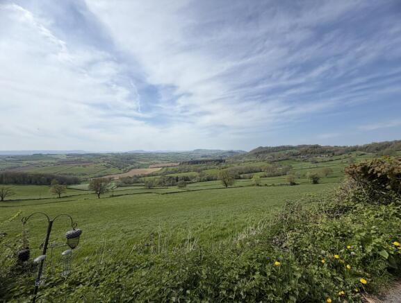 IMG 7930  1  T202604231612.jpg