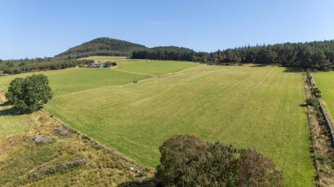 Lot 2 - Wester Moy