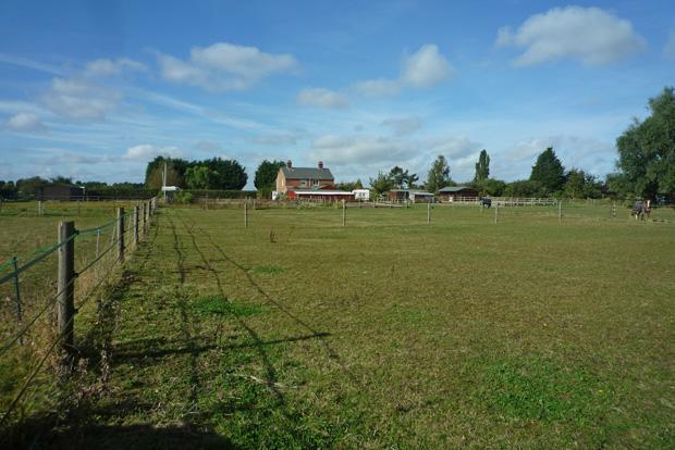 Paddock View