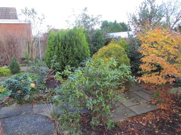 Garden (1)