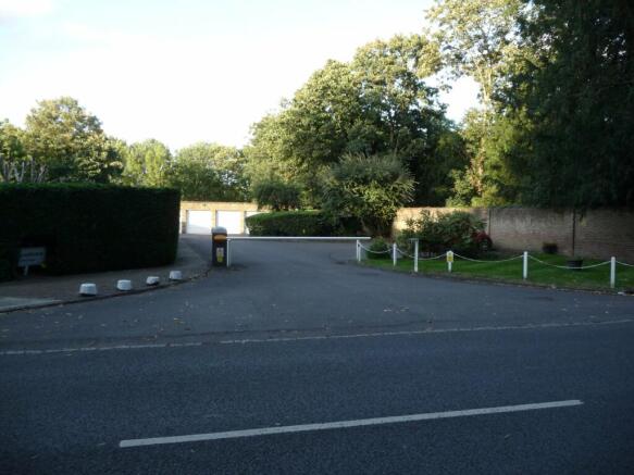 Photo 17