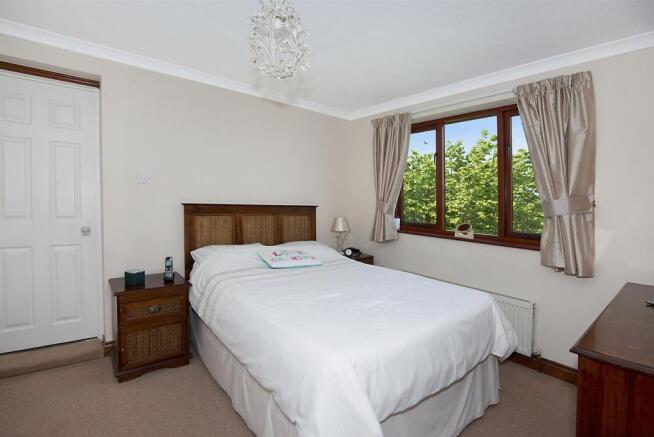 15IvyClose26.jpg