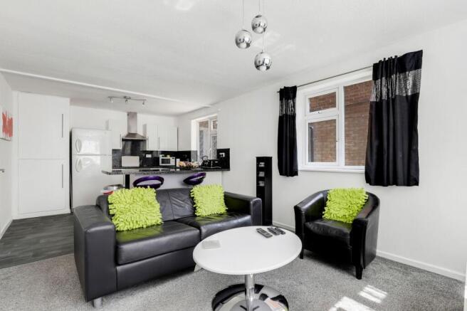 Living/Kitchen Area