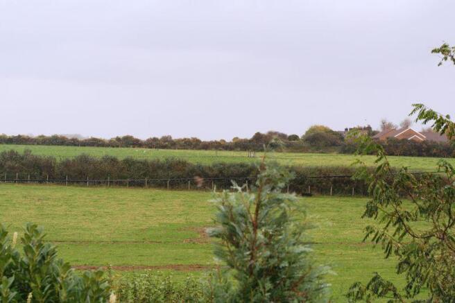 Countryside Views