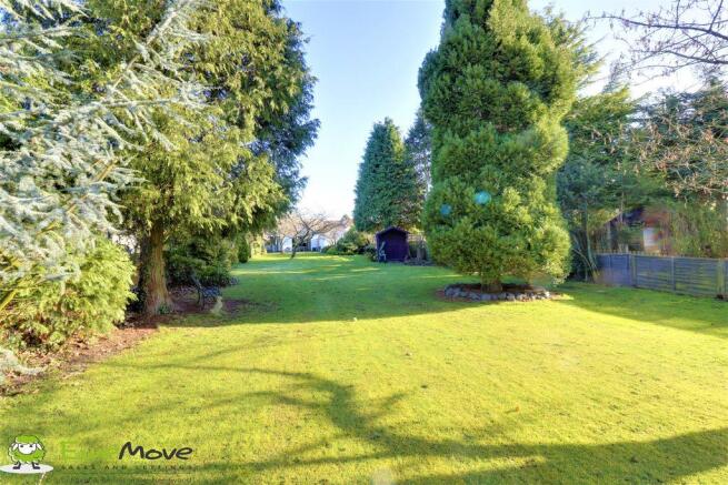 Garden at Back