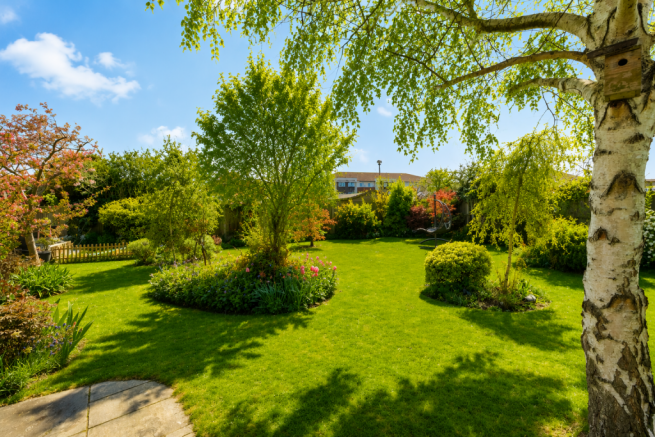 Rear Garden 2