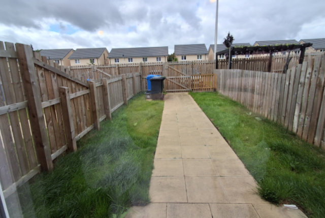 Back garden