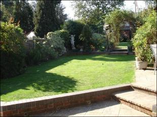garden 2
