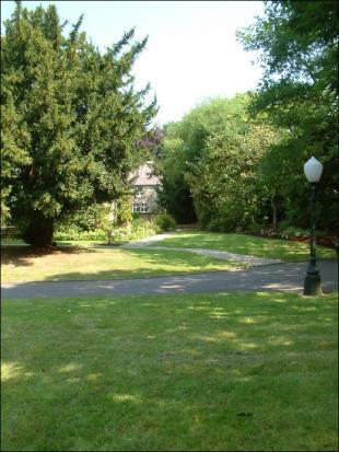 Grounds