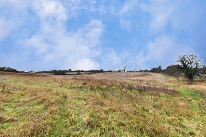 Field