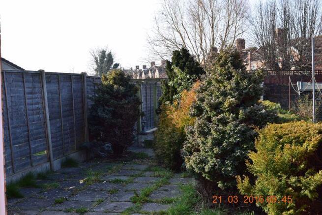 Back Garden